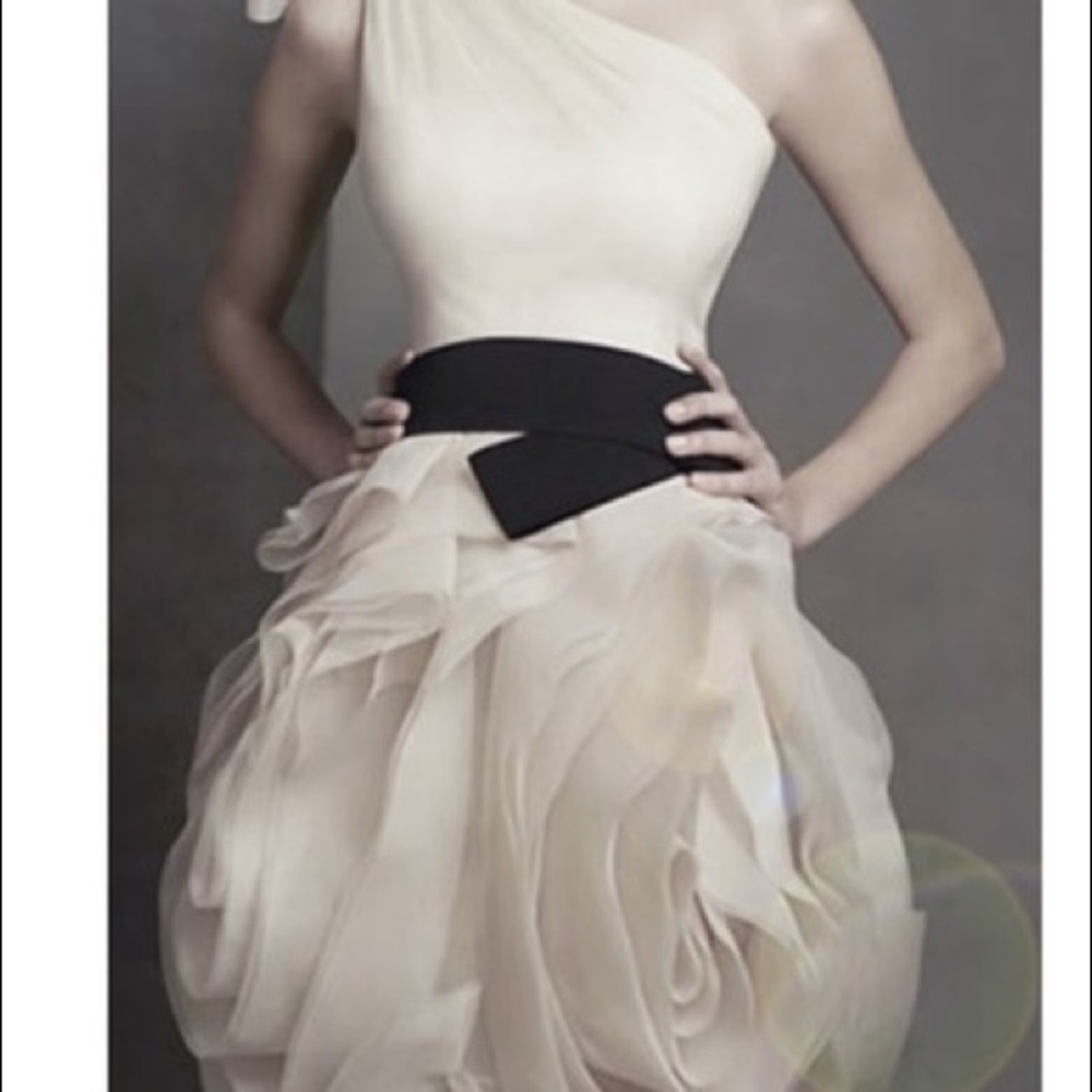 Vera Wang Charcoal Bridesmaid Dress